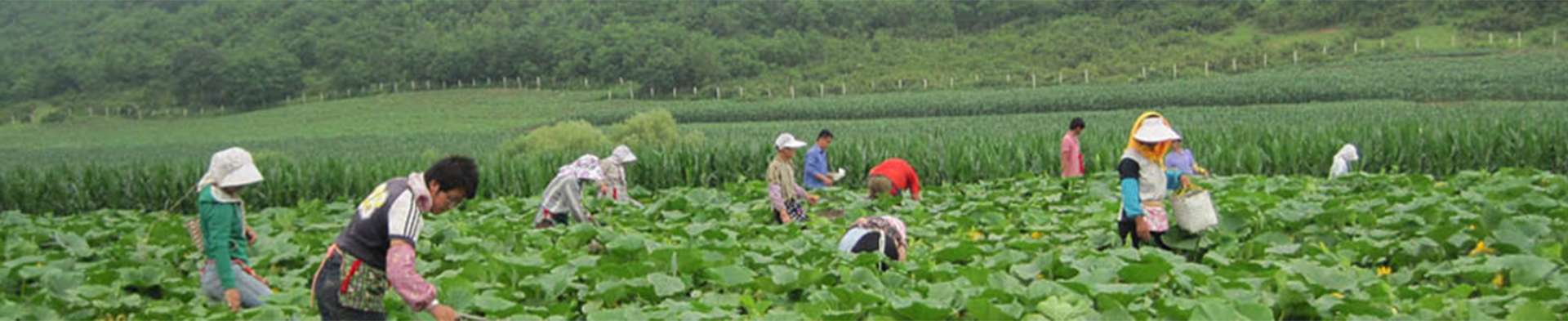 曲阜市驕陽(yáng)工貿(mào)有限公司